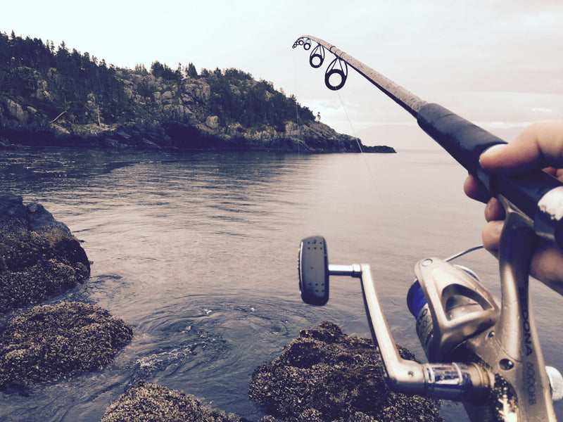 Fishing Around Rocks And Structure: How To Find, Fish, And Land More Bass In 2026