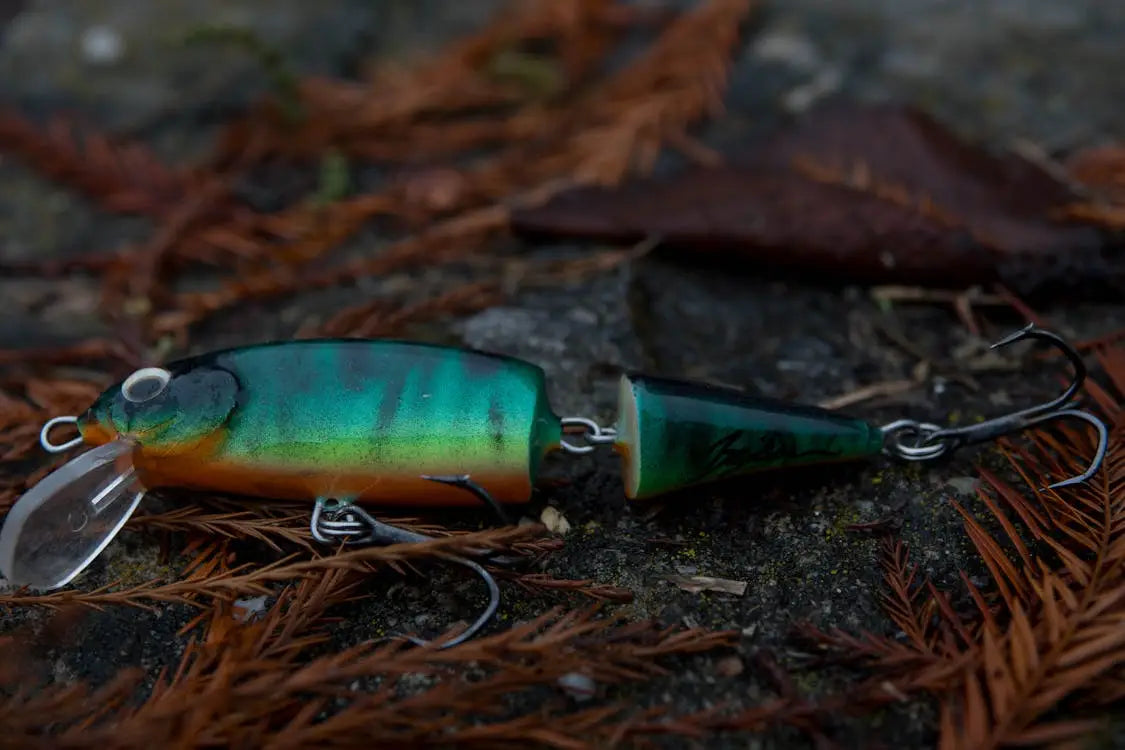 Why Do Swimbaits Catch Bigger Bass? Understanding the Predator Instinct Behind Giant Baits