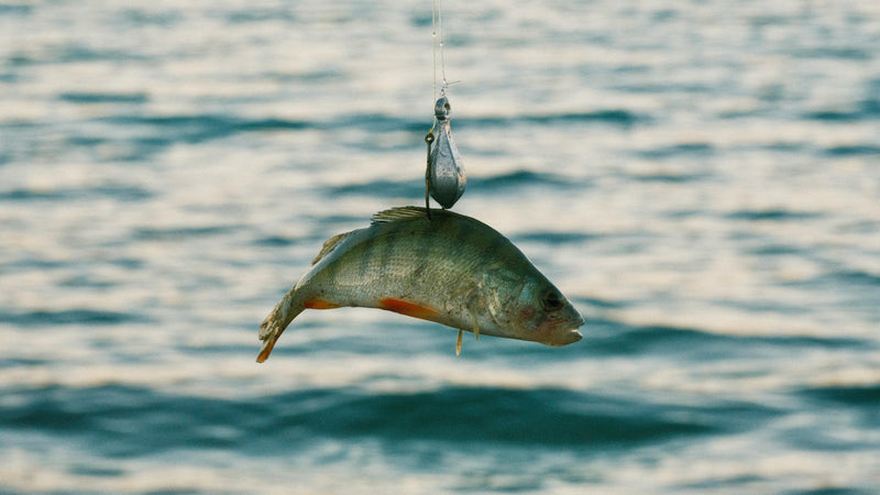 Vertical Jigging Sensitivity With A Rigid CNC Machined Frame: How To Feel More Bites And Land More Walleye In 2026