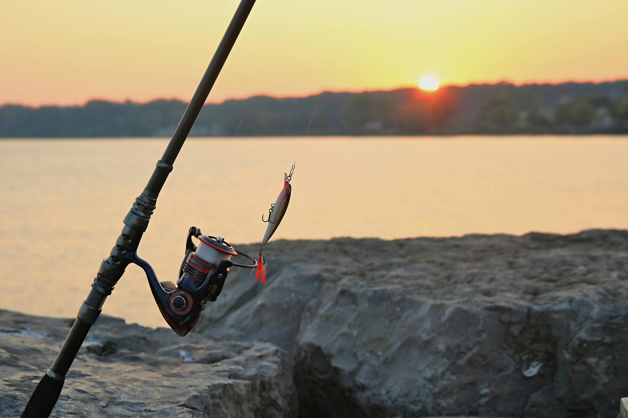 Conventional Reel Guide 2026: How To Choose The Right Reel For Power, Control, And Target Species