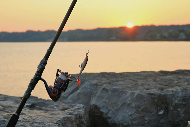 Conventional Reel Guide 2026: How To Choose The Right Reel For Power, Control, And Target Species