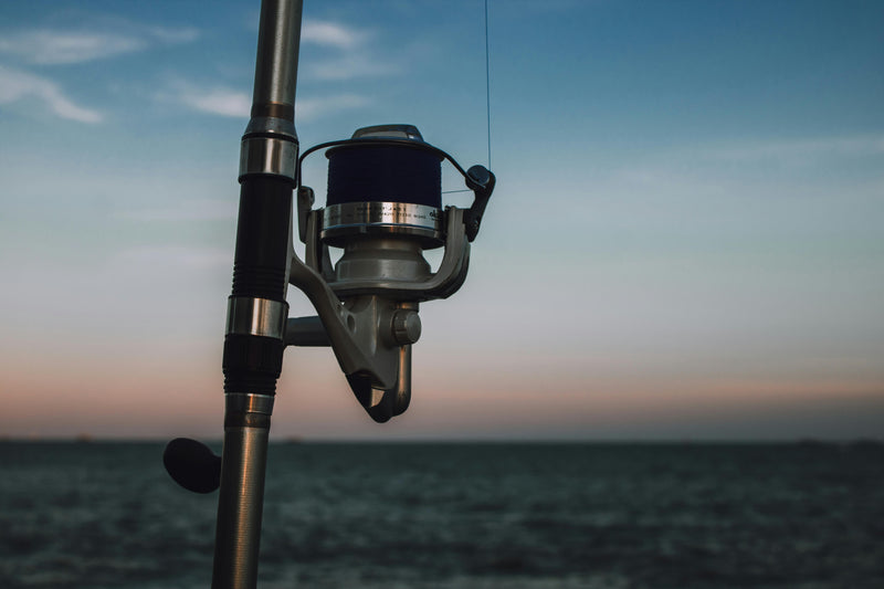 Best Conventional Reel For Saltwater In 2026: Top Picks For Power, Durability, And Value