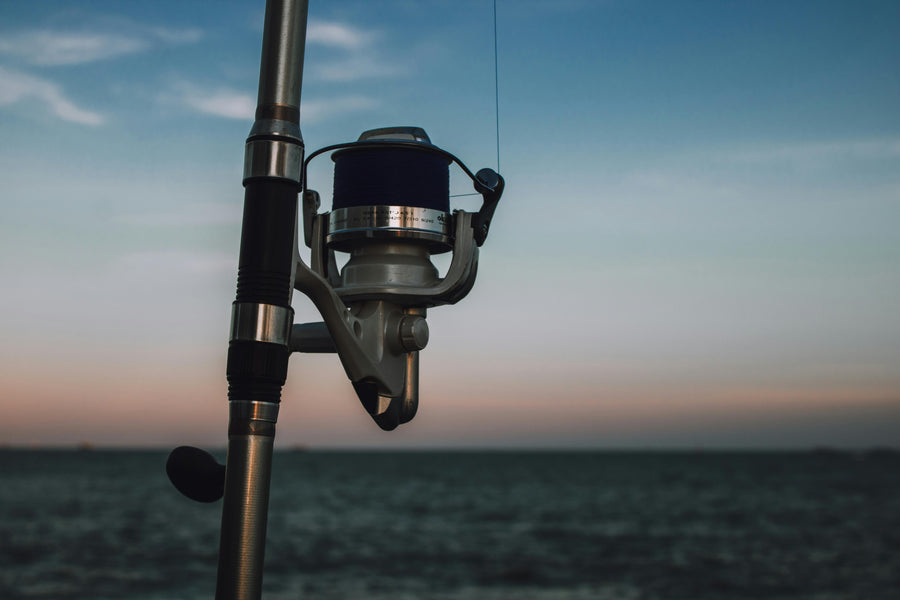 Best Conventional Reel For Saltwater In 2026: Top Picks For Power, Durability, And Value