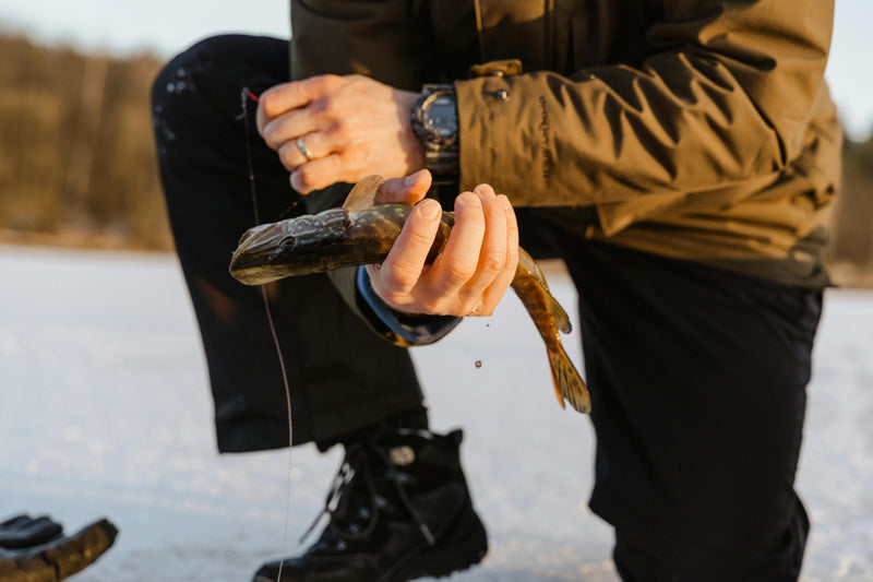 Round Reel Aesthetics With CNC Precision For Scottish Pike: How To Choose The Right Conventional Reel