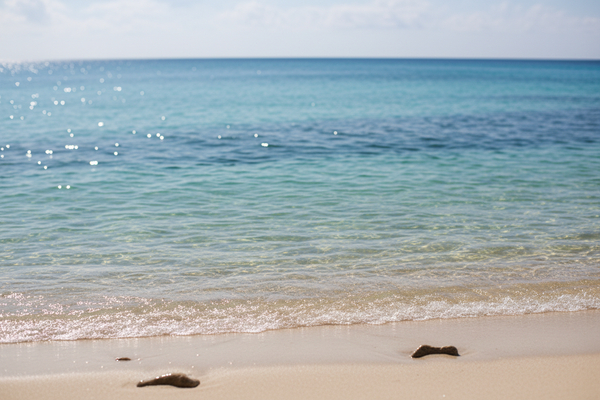 The New Force in Fishing Gear: Growing with You